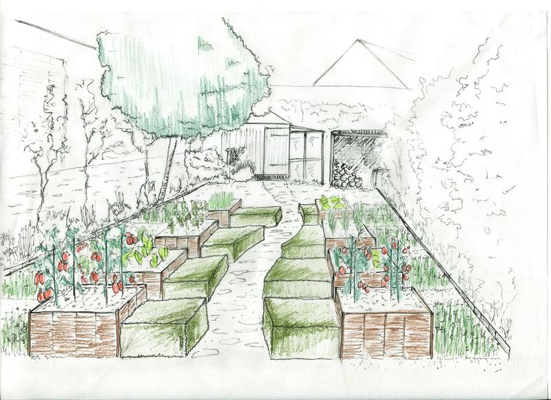 Croquis du jardin de curé