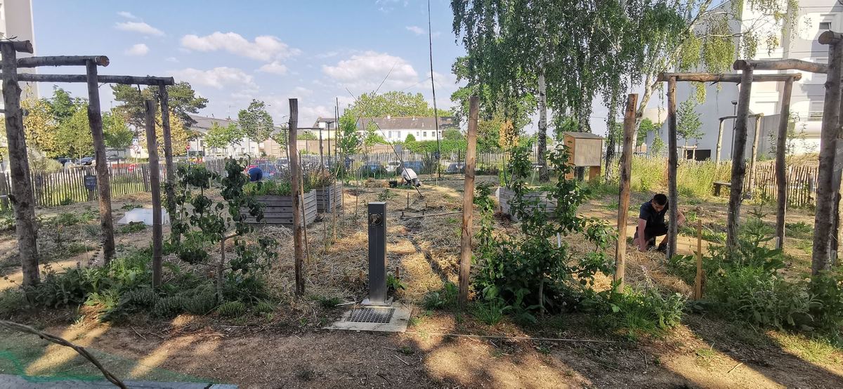 Pergolas et parcelles du Jardin des Glycines, résidence Beaussier, Angers