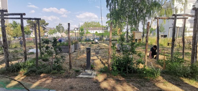 Pergolas et parcelles du Jardin des Glycines, Angers