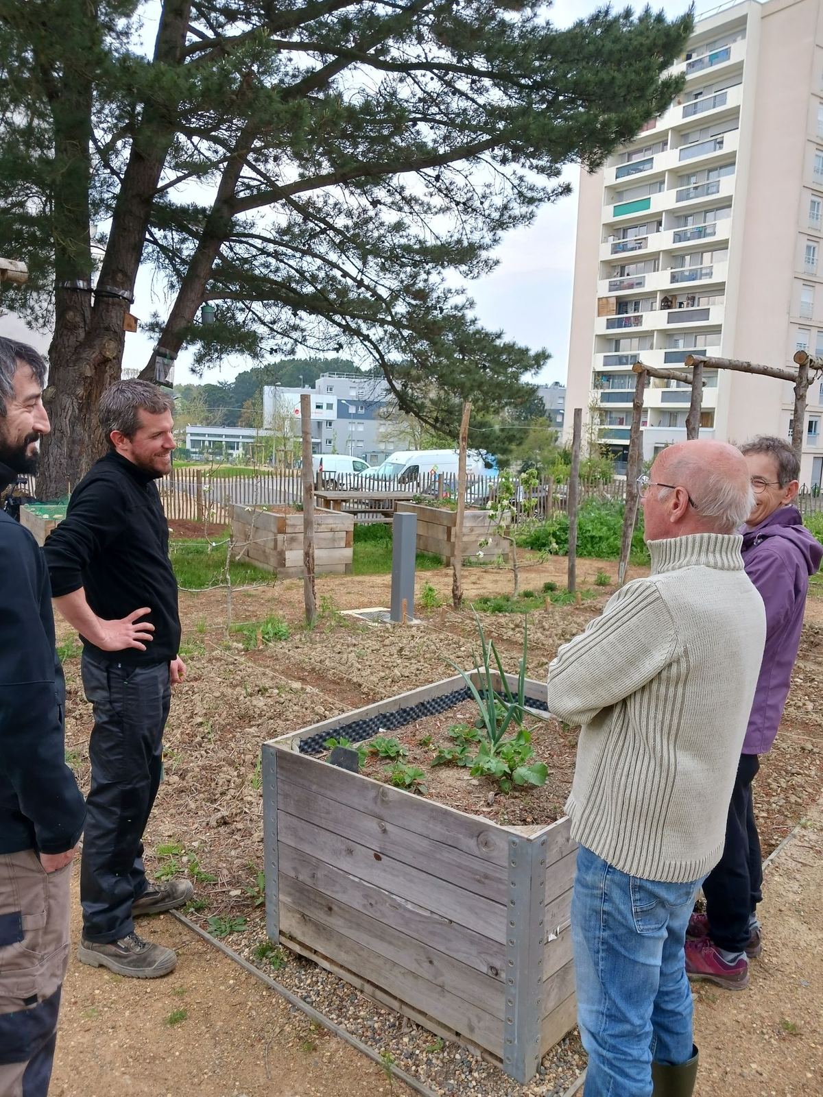 Habitants et jardiniers SICLE autour d'un bac potager, Jardin des Glycines, Angers