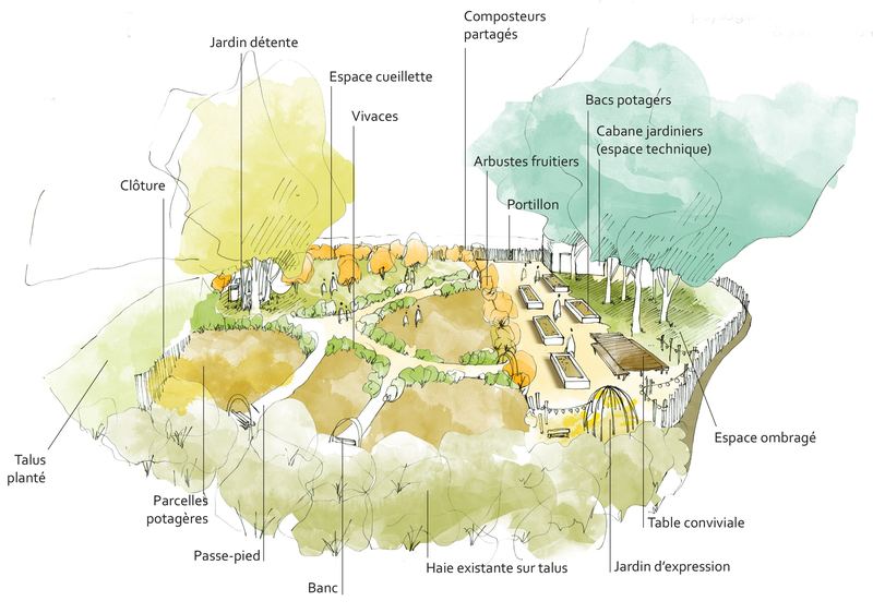 Plan de plantation du jardin