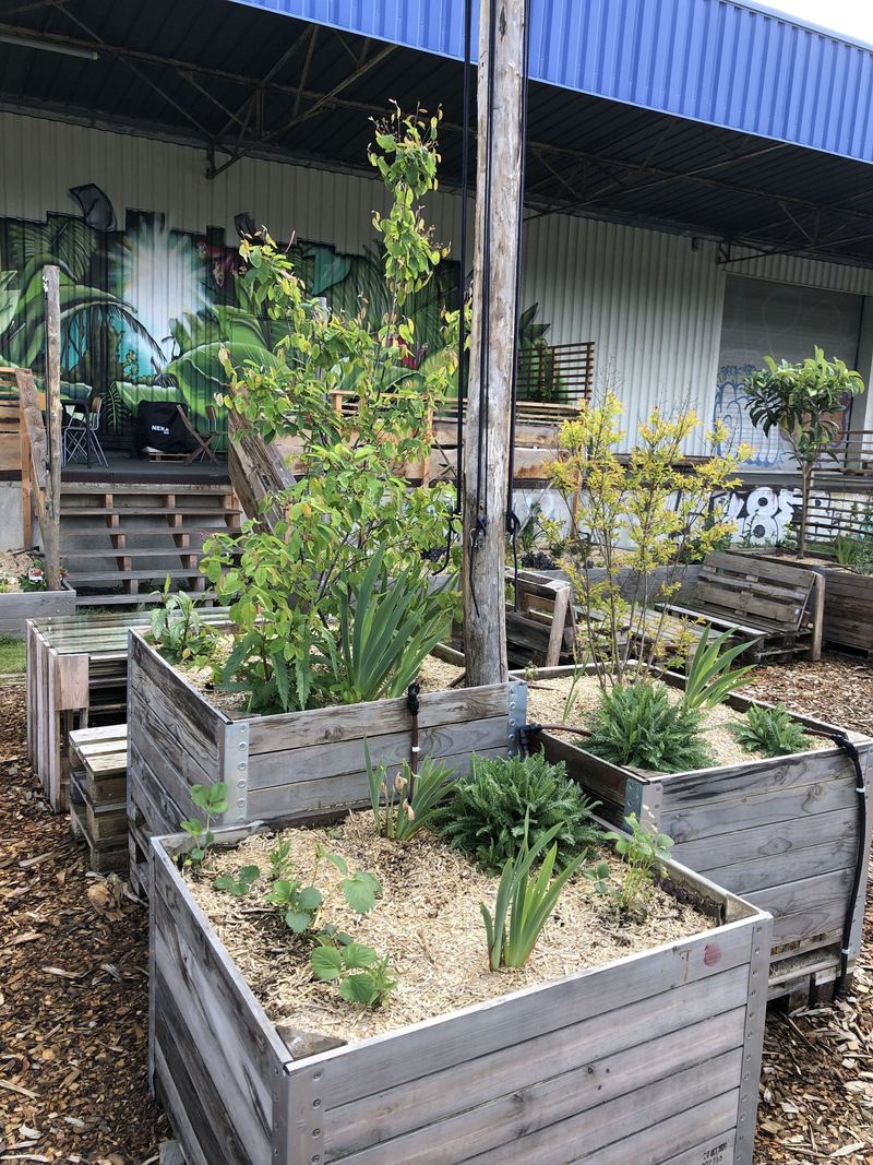 Bacs potagers du jardin d'entreprise de Logisseo