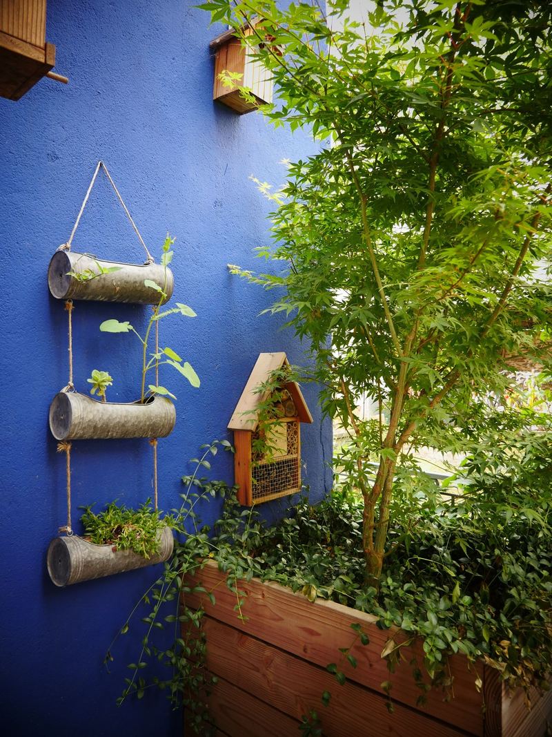 Mur bleu et bacs bois du Patio bohème