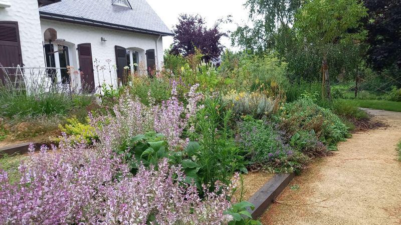 Allée et massifs fleuris