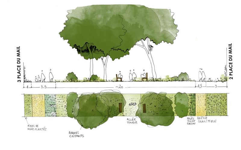 Coupe de principe, arbres et prairie