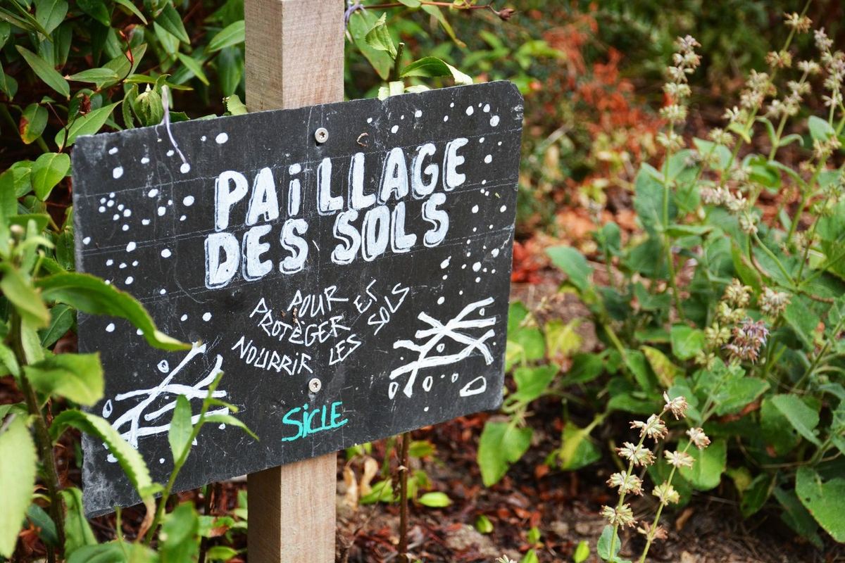 Ardoise « Paillage des sols » dans un massif de la résidence Marly, Angers