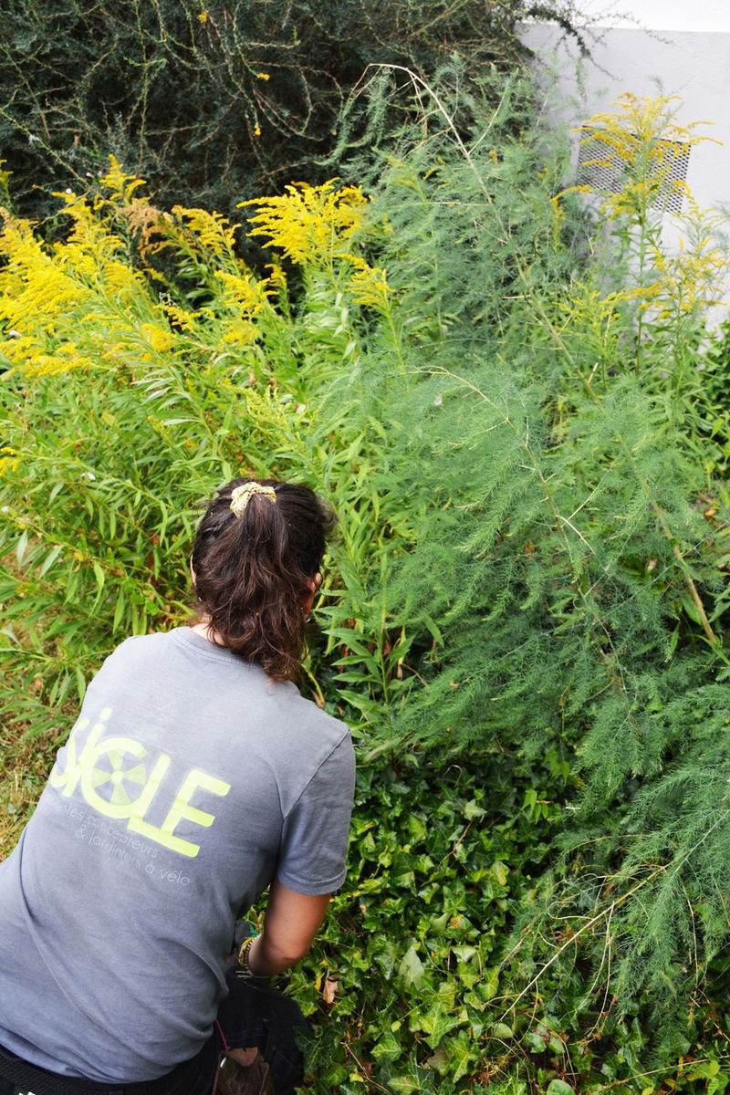 Jardinier SICLE dans un massif de la résidence