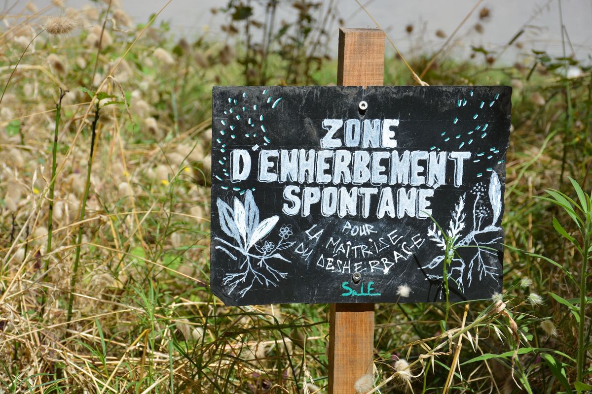Panneau « Zone d'enherbement spontané » dans une prairie, résidence Strasbourg, Angers