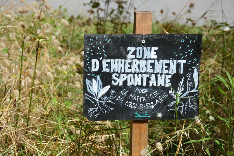 Panneau « Zone d'enherbement spontané »
