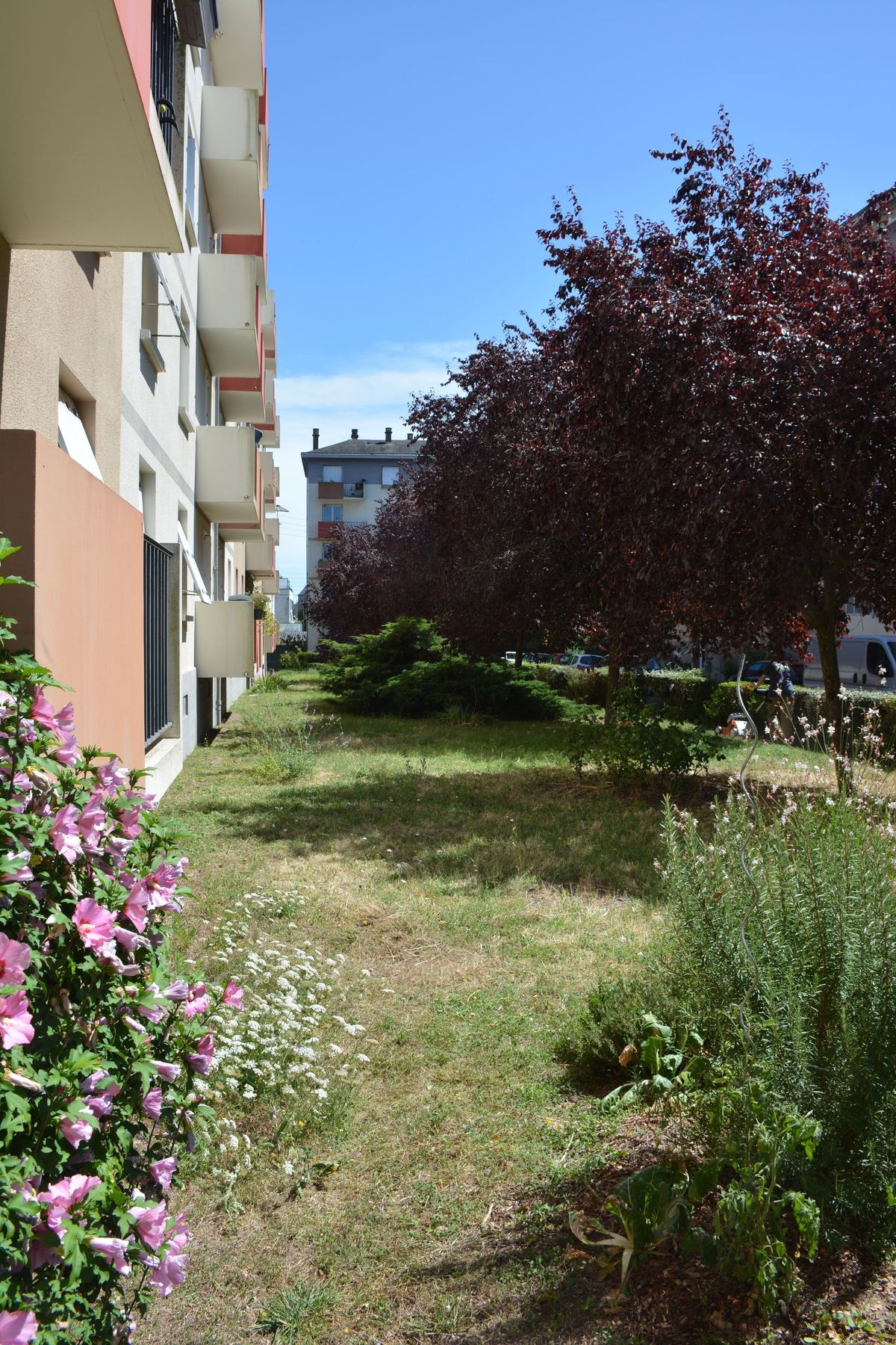 Pied d'immeuble végétalisé de la résidence Strasbourg, Angers