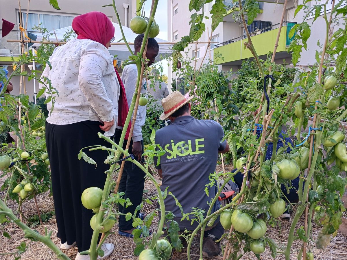 Habitants au travail dans un potager partagé