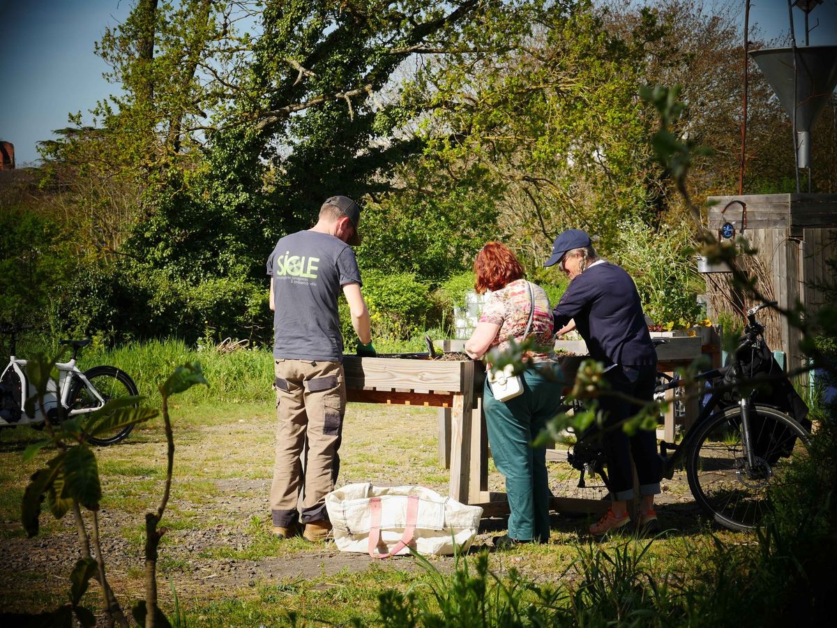 Atelier de plantation collectif dans un jardin partagé