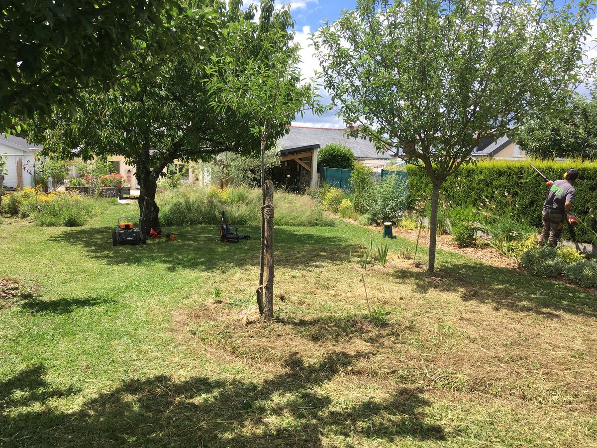 Jardin avec arbres et prairie entretenu par SICLE