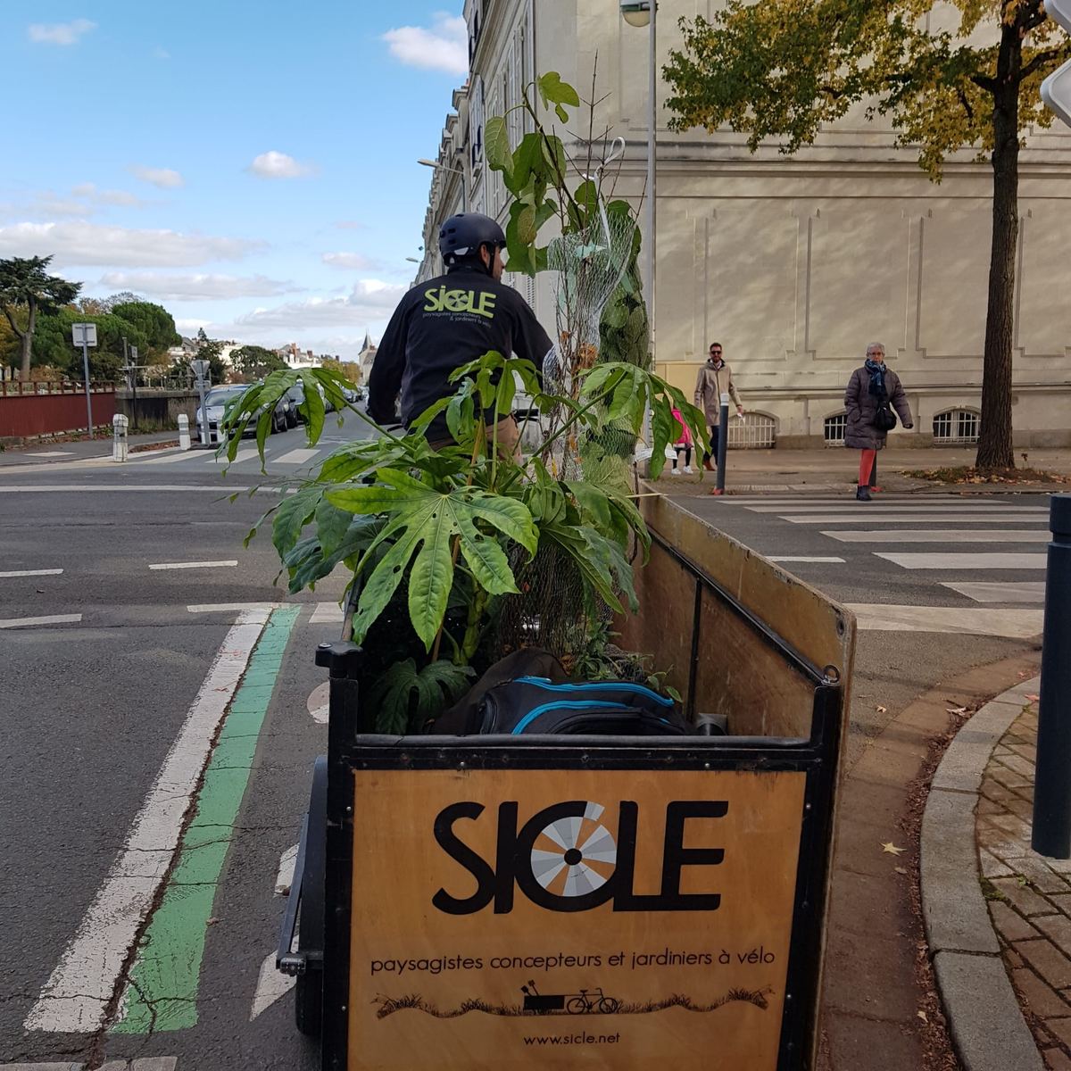 Jardinier SICLE à vélo cargo avec des plantes dans une rue d'Angers