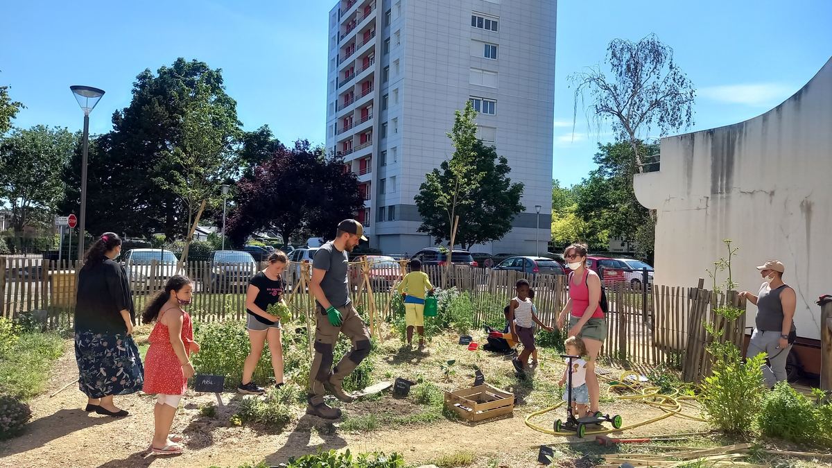 Enfants en animation jardin au pied d'un immeuble à Angers